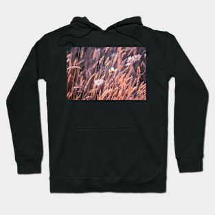 Daisies in a breeze Hoodie